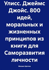 Улисс. Джеймс Джойс. 800 идей, моральных и жизненных принципов из книги для Саморазвития личности