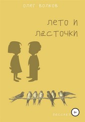 Лето и ласточки