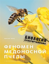 Феномен медоносной пчелы. Биология суперорганизма