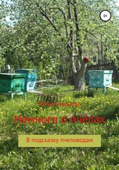 Немного о пчёлах в подсказку пчеловодам