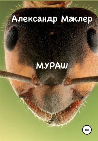 Мураш