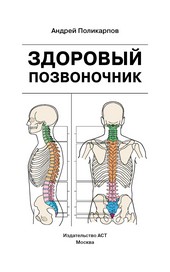 Здоровый позвоночник
