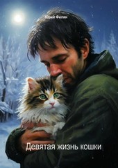 Девятая жизнь кошки