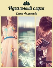 Идеальный слуга