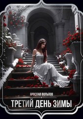 Третий день зимы