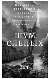 Шум слепых