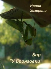 Бар У Бронзовки