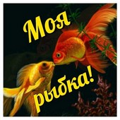 Моя рыбка!