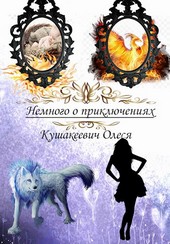 Немного о приключениях