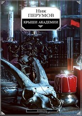 Крыши Академии