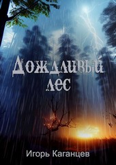 Дождливый лес