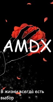 AMDX
