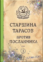 Рассказ третий. Старшина Тарасов против посланника.