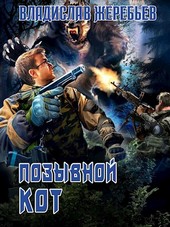Позывной Кот