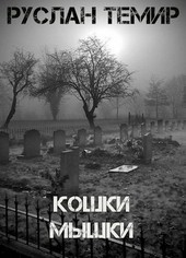 Кошки-мышки