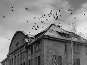 Клетка
