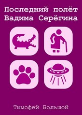 Последний полёт Вадима Серёгина