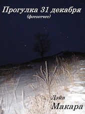 Прогулка 31 декабря (фотоотчет)