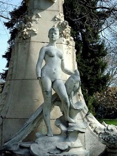 Кошачья звёздчатая