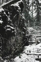 Дизентерия в Грачеве