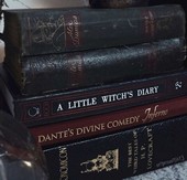 Удивительный бродячий магазин книжных редкостей