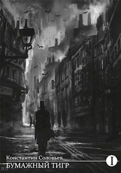 Бумажный тигр (I. - Материя)