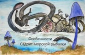 Особенности Садрит-морской рыбалки