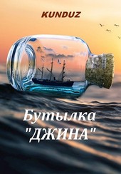 Бутылка Джина