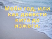 Моби год, или как довести кита до изжоги.