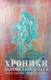 Хроники Заповедного леса. Книга третья. Часы Пелакина