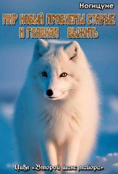 Мир новый, проблемы старые. И главная - выжить.
