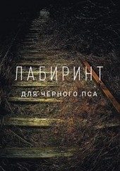 Лабиринт для чёрного пса