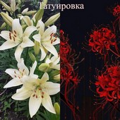 Татуировка