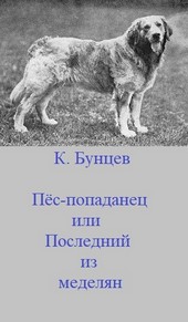 Пёс-попаданец, или Последний из меделян(анонс)