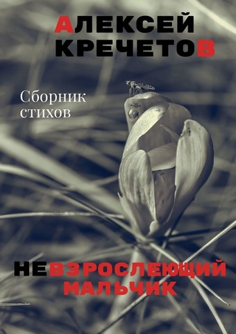Невзрослеющий мальчик